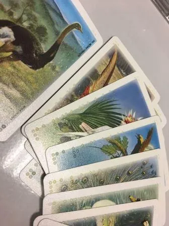 Asmodee - drunk stoned or stupid, gioco di carte divertente - Toys Center